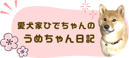 愛犬家ひでちゃんのうめちゃん日記